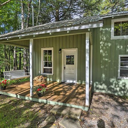 Adirondacks Cabin With Fire Pit On Otter Lake! Forestport Exterior foto